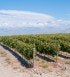 ARGENTINAfarmland-e1444321700716.jpg